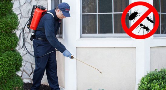 Kartal Tahtakurusu İlaçlama böcek ilaçlama ve haşere kontrolü — ilaclama-tr.com